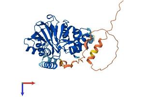AlphaFold protein structure predicition of Human Recombinant PNKD Protein, UniprotID Q8N490