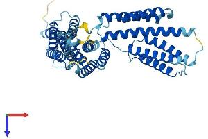 AlphaFold protein structure predicition of Human Recombinant BAG5 Protein, UniprotID Q9UL15
