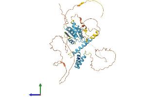 AlphaFold protein structure predicition of Mouse Recombinant Sohlh2 Protein, UniprotID Q9D489