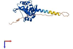 AlphaFold protein structure predicition of Human Recombinant NAA10 Protein, UniprotID P41227
