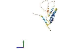 AlphaFold protein structure predicition of Mouse Recombinant Spz1 Protein, UniprotID Q99MY0