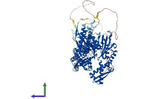 AlphaFold protein structure predicition of Human Recombinant HSPA4 Protein, UniprotID P34932