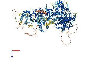 AlphaFold protein structure predicition of Mouse Recombinant Tbc1d8 Protein, UniprotID Q9Z1A9