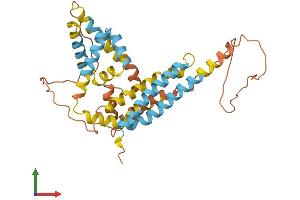AlphaFold protein structure predicition of Human Recombinant APOL2 Protein, UniprotID Q9BQE5