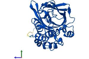 AlphaFold protein structure predicition of Mouse Recombinant Nat2 Protein, UniprotID P50295