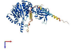 AlphaFold protein structure predicition of Human Recombinant GALNT18 Protein, UniprotID Q6P9A2