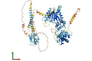 AlphaFold protein structure predicition of Human Recombinant SPG7 Protein, UniprotID Q9UQ90