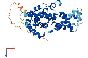 AlphaFold protein structure predicition of Human Recombinant CCNH Protein, UniprotID P51946