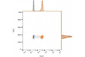 Flow cytometry analysis of bead-bound exosomes derived from MCF-7 cells. (CD81 anticorps)