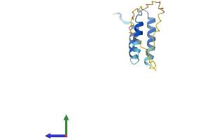 AlphaFold protein structure predicition of Human Recombinant SDHAF1 Protein, UniprotID A6NFY7