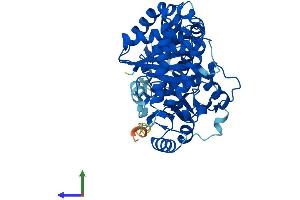 AlphaFold protein structure predicition of Mouse Recombinant Tuba4a Protein, UniprotID P68368