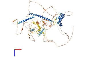 AlphaFold protein structure predicition of Human Recombinant MLXIPL Protein, UniprotID Q9NP71