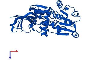 AlphaFold protein structure predicition of Human Recombinant PTGR1 Protein, UniprotID Q14914