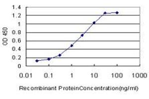 Detection limit for recombinant GST tagged FADS3 is approximately 0. (FADS3 anticorps  (AA 16-113))