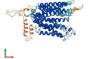 AlphaFold protein structure predicition of Human Recombinant SLC29A3 Protein, UniprotID Q9BZD2