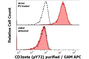 Anti-Hu CD3 zeta (p72) purified antibody (clone EM-26) works in Flow Cytometry application Analysis of the antibody staining was performed on Jurkat cells treated or untreated with pervanadate (PV) prior to the fixation and permeabilization of cell suspension with cold methanol.