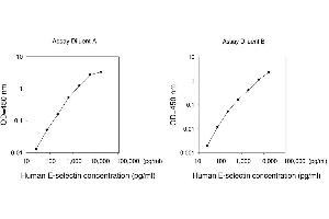 ELISA image for Selectin E (SELE) ELISA Kit (ABIN624970)