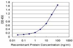 Detection limit for recombinant GST tagged HOXA5 is approximately 0. (HOXA5 anticorps  (AA 171-270))