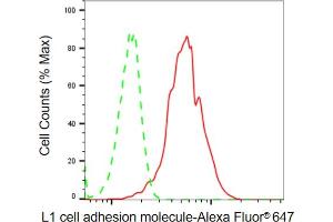 Flow cytometric analysis of L1 cell adhesion molecule expression in HepG2 cells using L1 cell adhesion molecule antibody (ABIN7799219), 1:2,000). (Recombinant L1CAM anticorps)