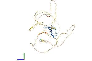AlphaFold protein structure predicition of Human Recombinant MECP2 Protein, UniprotID P51608