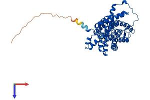 AlphaFold protein structure predicition of Human Recombinant SLC14A1 Protein, UniprotID Q13336