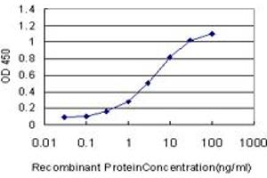 Detection limit for recombinant GST tagged SP1 is approximately 0. (SP1 anticorps  (AA 89-198))