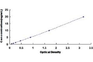 Typical standard curve (Prokineticin Receptor 2 Kit ELISA)