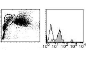 Flow Cytometry (FACS) image for anti-CD151 (CD151) antibody (PE) (ABIN1105899) (CD151 anticorps  (PE))