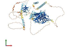 AlphaFold protein structure predicition of Mouse Recombinant Osbpl5 Protein, UniprotID Q9ER64