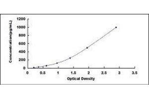 Typical standard curve (L1CAM Kit ELISA)