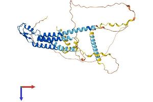 AlphaFold protein structure predicition of Human Recombinant GJC2 Protein, UniprotID Q5T442