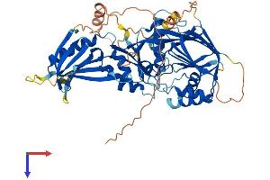 AlphaFold protein structure predicition of Human Recombinant CERKL Protein, UniprotID Q49MI3