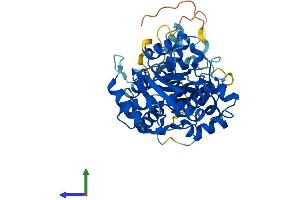 AlphaFold protein structure predicition of Human Recombinant NARF Protein, UniprotID Q9UHQ1