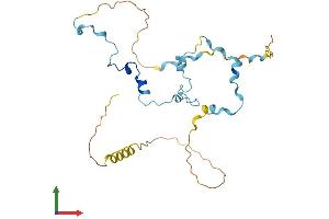 AlphaFold protein structure predicition of Mouse Recombinant Med19 Protein, UniprotID Q8C1S0
