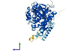 AlphaFold protein structure predicition of Mouse Recombinant Cyp3a25 Protein, UniprotID O09158