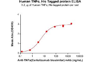 ELISA plate pre-coated by 2 μg/mL (100 μL/well) Human TNFα Protein, His Tag (ABIN6961133, ABIN7042295 and ABIN7042296) can bind Anti-TNFa(Certolizumab biosimilar) mAb ((ABIN7538773)) in a linear range of 0.