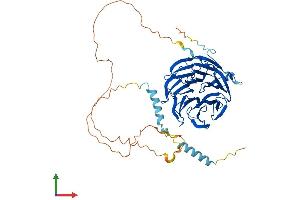 AlphaFold protein structure predicition of Human Recombinant PLRG1 Protein, UniprotID O43660