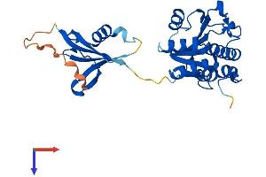 AlphaFold protein structure predicition of Human Recombinant ISOC1 Protein, UniprotID Q96CN7