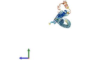 AlphaFold protein structure predicition of Human Recombinant STX8 Protein, UniprotID Q9UNK0