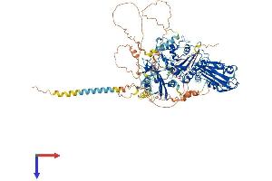 AlphaFold protein structure predicition of Mouse Recombinant B4galnt3 Protein, UniprotID Q6L8S8