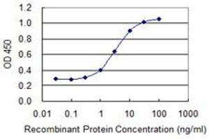 Detection limit for recombinant GST tagged GLRA1 is 0. (GLRA1 anticorps  (AA 121-220))