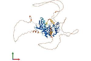 AlphaFold protein structure predicition of Mouse Recombinant Mak Protein, UniprotID Q04859