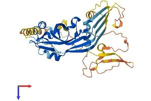 AlphaFold protein structure predicition of Mouse Recombinant Pjvk Protein, UniprotID Q0ZLH2