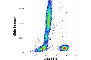 Flow cytometry surface staining pattern of human peripheral whole blood stained using anti-human CD3 (OKT3) FITC antibody (4 μL reagent / 100 μL of peripheral whole blood). (CD3 anticorps  (FITC))