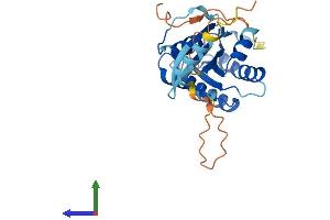 AlphaFold protein structure predicition of Mouse Recombinant Rasl11b Protein, UniprotID Q922H7