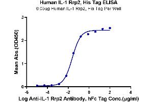 Immobilized Human IL-1 Rrp2 at 0.