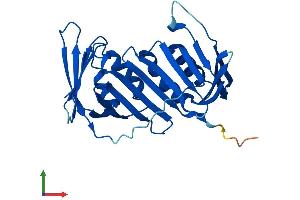 AlphaFold protein structure predicition of Mouse Recombinant Pcna Protein, UniprotID P17918