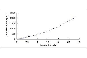 Typical standard curve (LRP2 Kit ELISA)