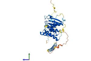 AlphaFold protein structure predicition of Mouse Recombinant Aimp2 Protein, UniprotID Q8R010