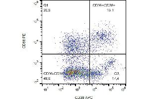 Flow cytometry analysis (surface staining) of human peripheral blood with anti-human CD38 (HIT2) APC. (CD38 anticorps  (APC))